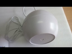 पेंडेंट स्पीकर