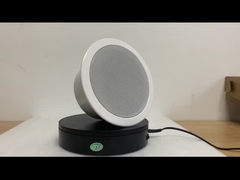 आईपी ​​स्पीकर