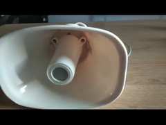 हॉर्न स्पीकर