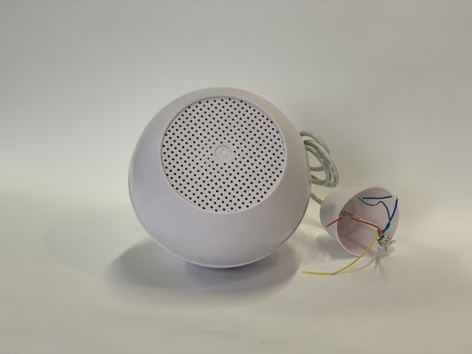 स्कूल के लिए 2.5w-5w-10w पा स्पीकर सिस्टम इंडोर पा पेंडेंट स्पीकर