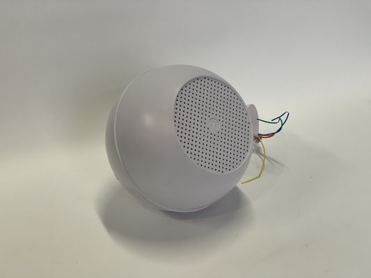 स्कूल के लिए 2.5w-5w-10w पा स्पीकर सिस्टम इंडोर पा पेंडेंट स्पीकर